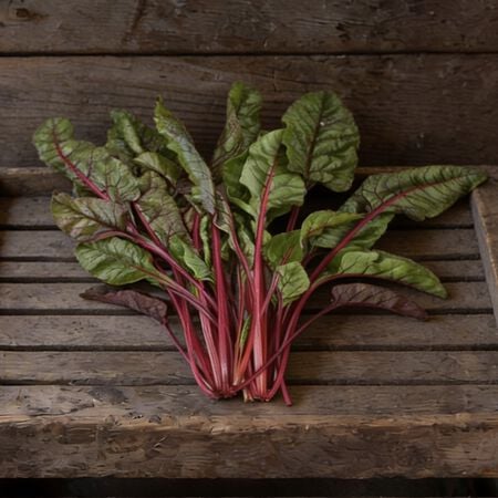 Cardinal, Organic Swiss Chard Seeds - Packet image number null